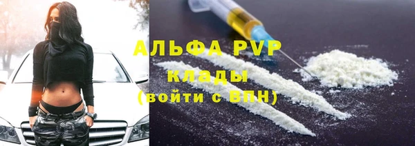 стаф Баксан