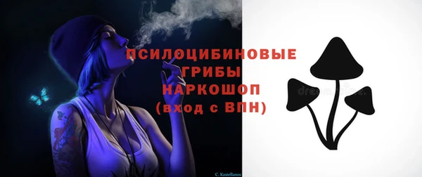 стаф Баксан