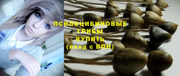 мескалин Нягань