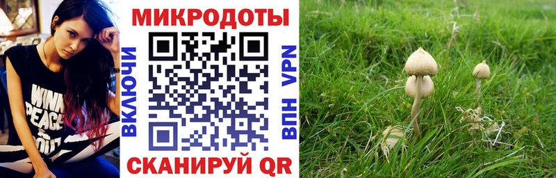 где купить наркоту  Лукоянов  omg сайт  Галлюциногенные грибы Psilocybine cubensis 